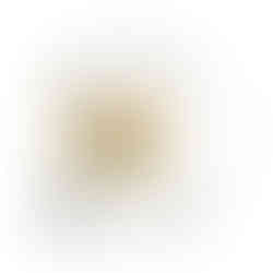 White Glossy Mug with the Symbols of the First French Empire printed on.