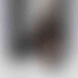 Black adidas Polo Shirt with the Symbol of Napoleon printed on the left side of the Chest. Worn by a male model.