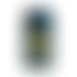 A tough case for a Samsung Phone in blue color with the Symbol of Napoleon as well as the Golden Eagle. Galaxy S21