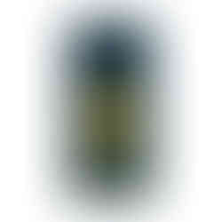 A tough case for a Samsung Phone in blue color with the Symbol of Napoleon as well as the Golden Eagle. Galaxy S10e