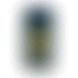 A tough case for a Samsung Phone in blue color with the Symbol of Napoleon as well as the Golden Eagle. Galaxy S23