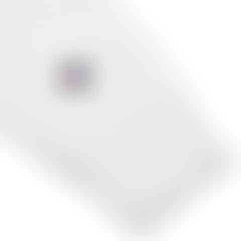 Picture of the sleeve where the Champion logo is printed on the White Long Sleeve