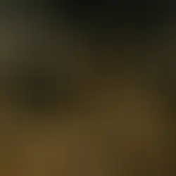 La Guerre Mondiale à nos Portes