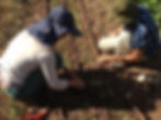 Joint work in the field