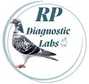 Logo RP Green new 24-08-25.jpg