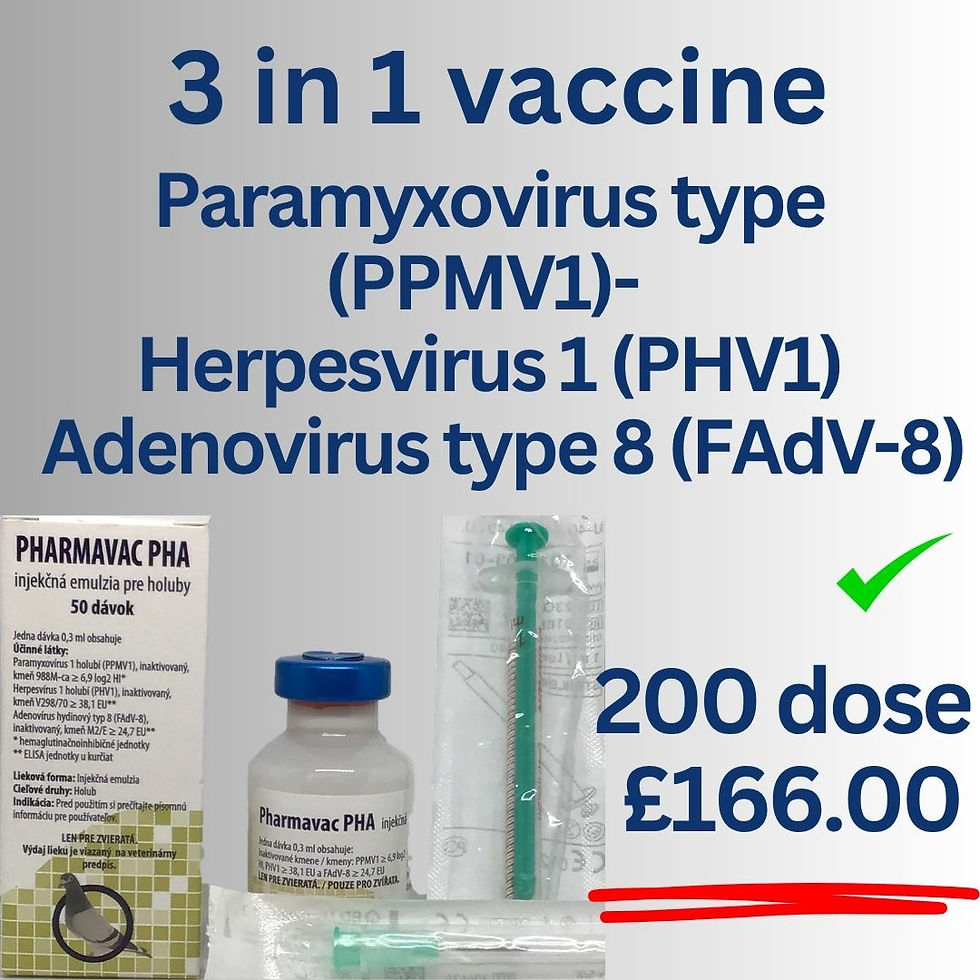 Pigeon Paramyxovirus type 1 (PMV1) - Pigeon Herpesvirus 1 (PHV1) - Adenovirus
