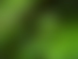 まさか〇〇が降ってくるとは…。