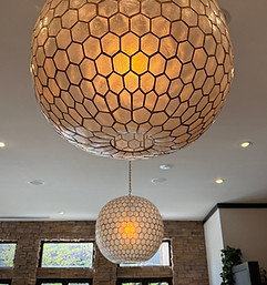 Wild Dog 2 Lights.JPG