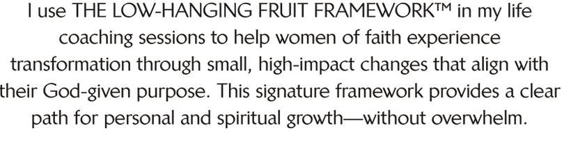 framework info@4x.png