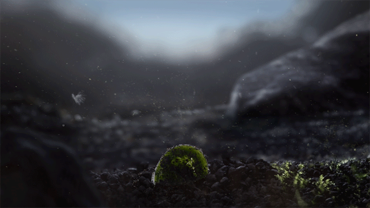 LUND-X-MAUVIEL-TIMELAPSES-FOUGERE-CHLOE-STORY-BOUCLE-X-3.GIF