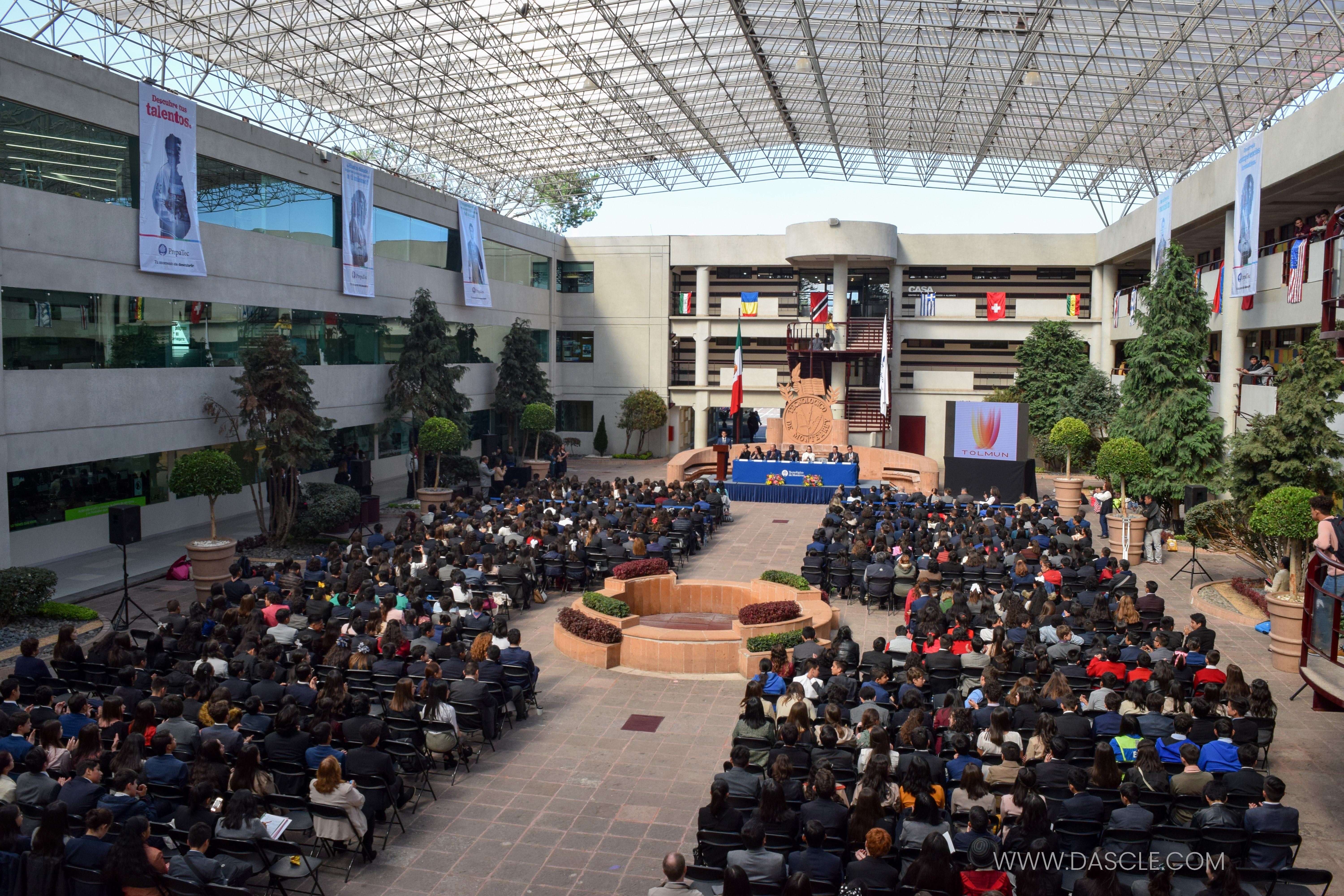 Tolmun2019