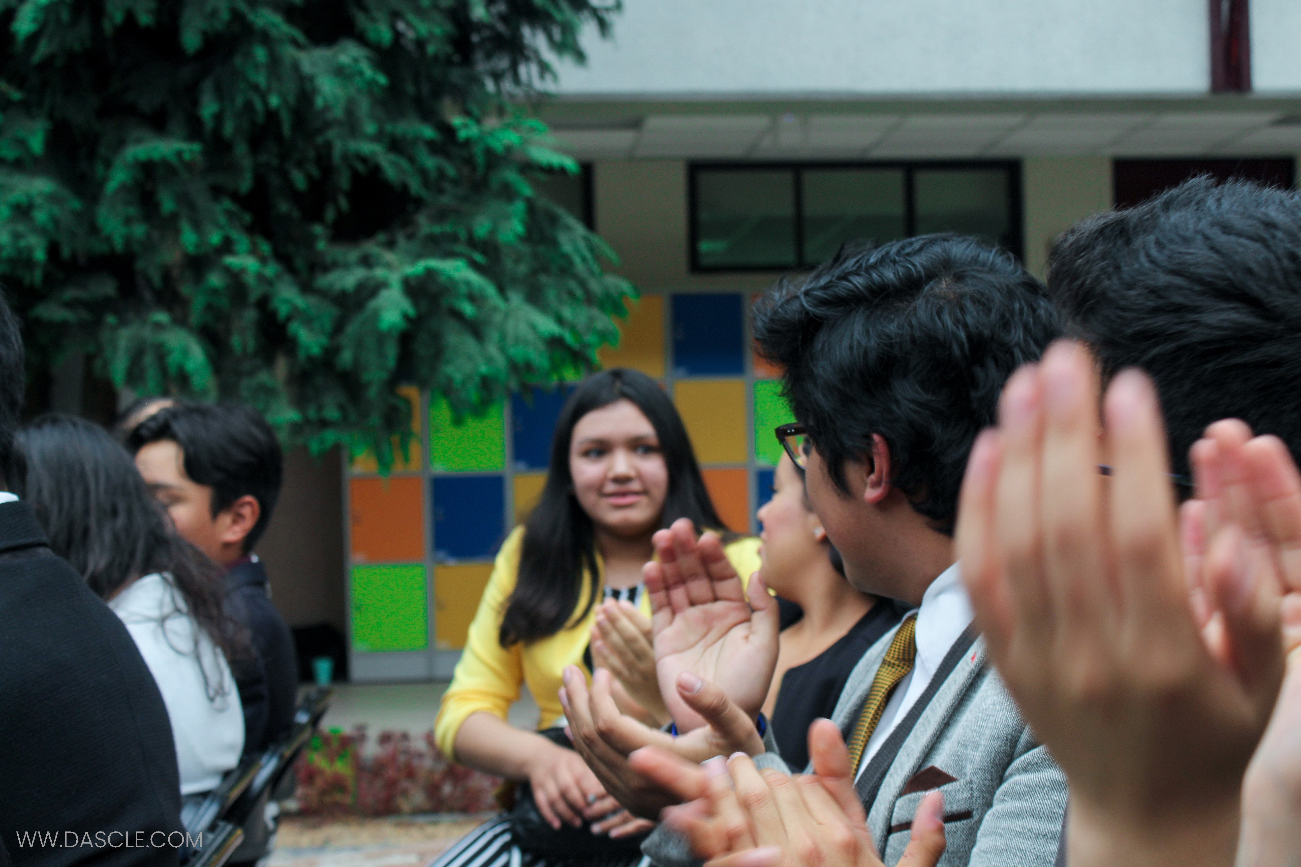 Tolmun2019