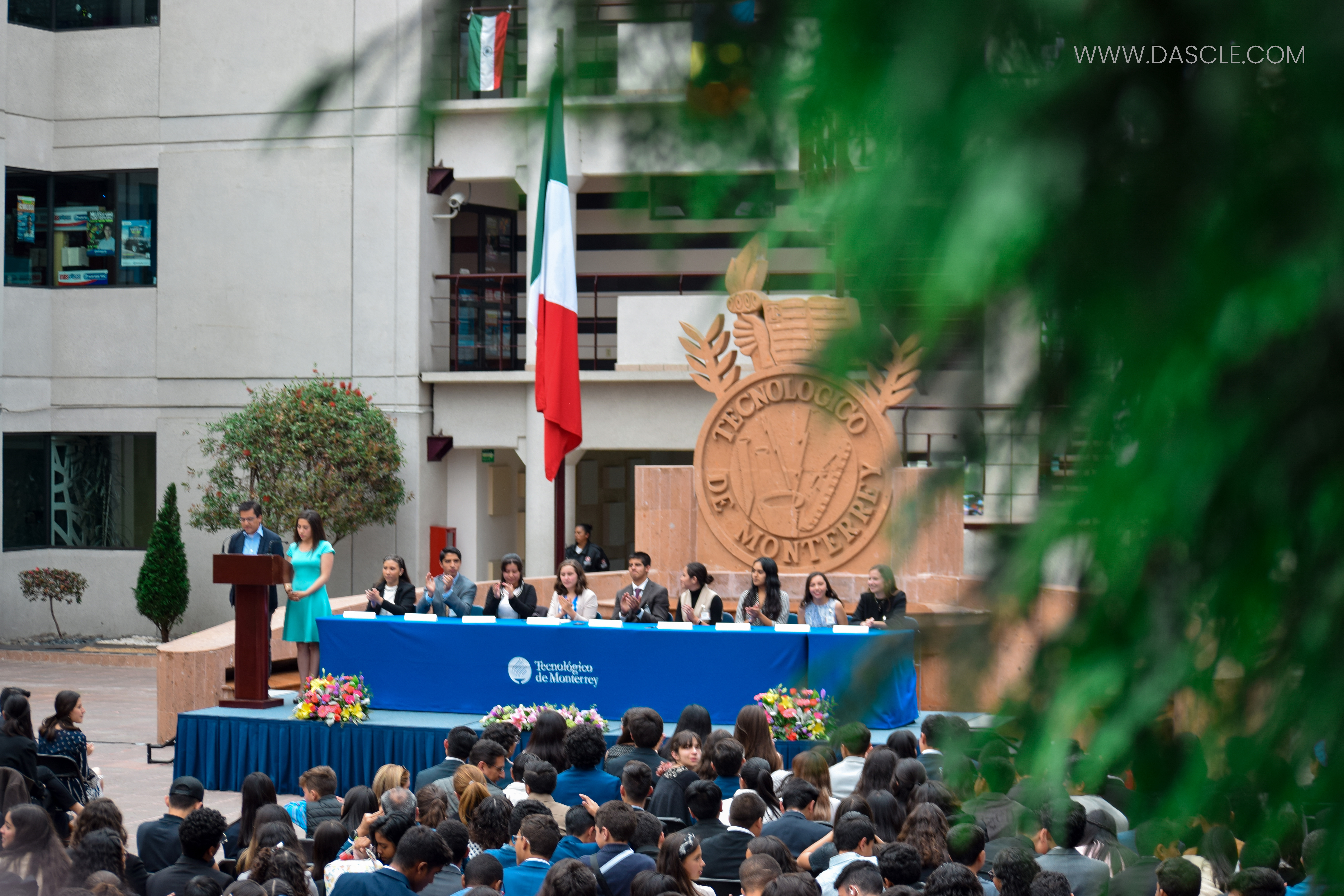 Tolmun2019