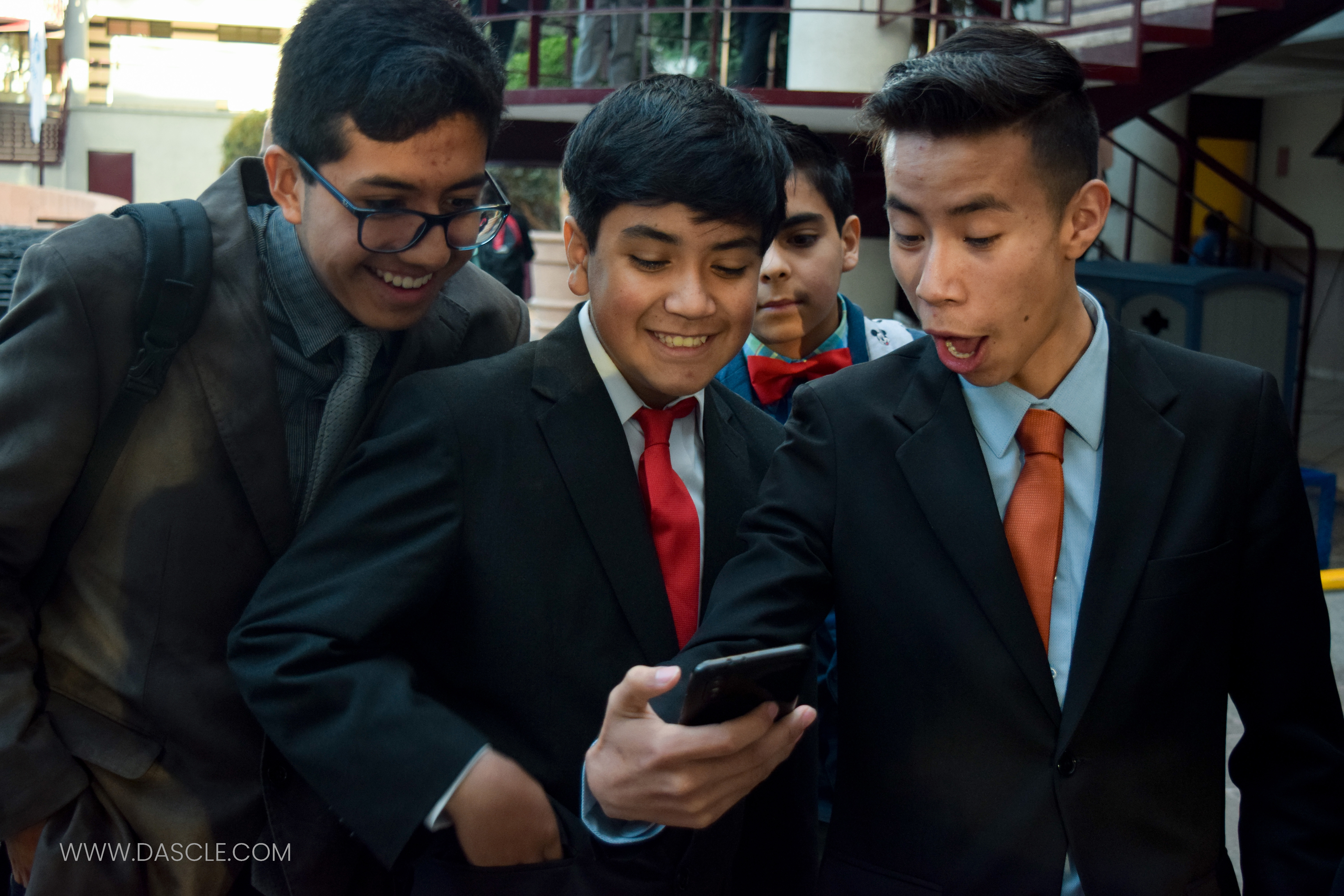 Tolmun2019