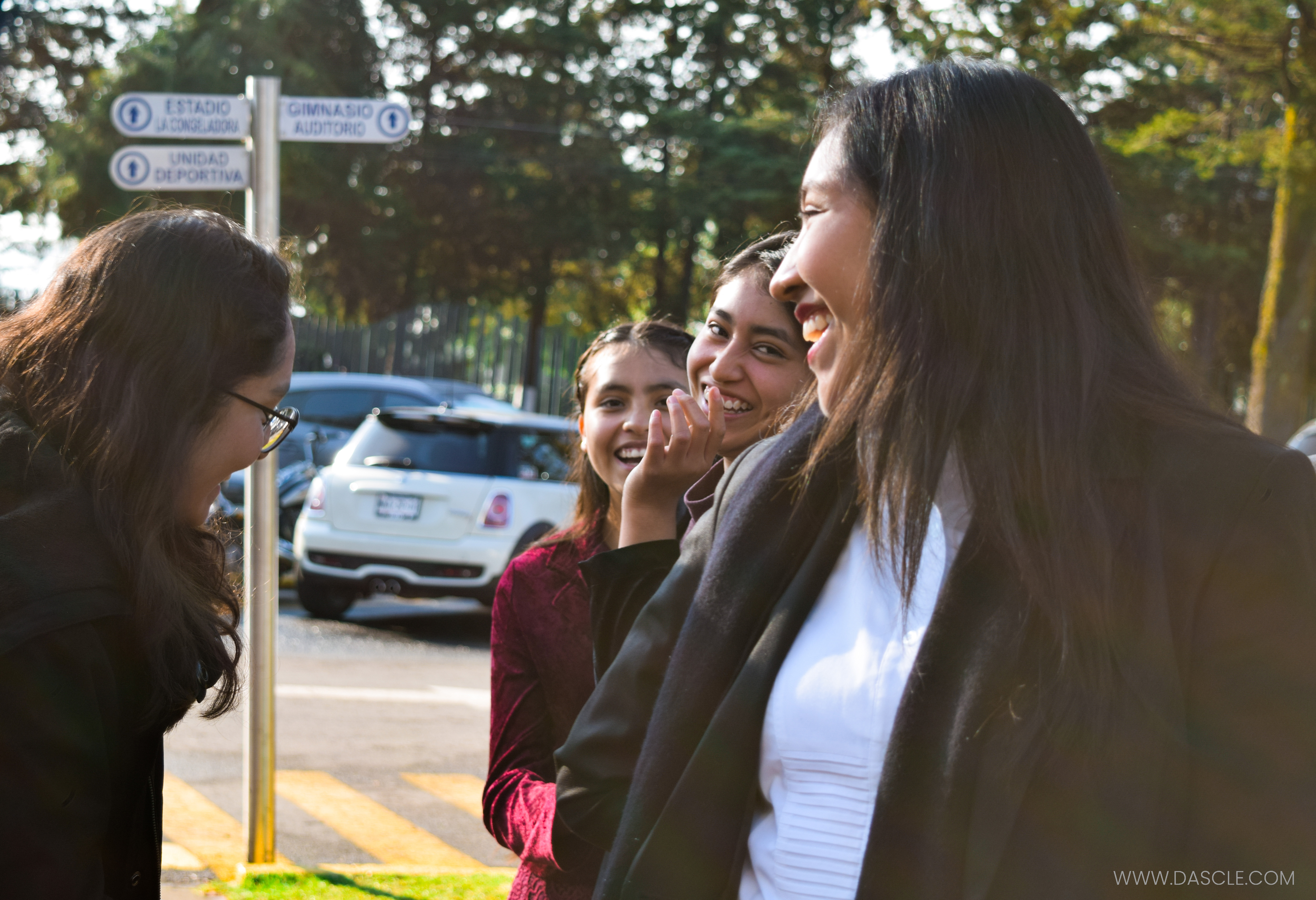Tolmun2019