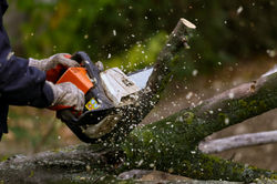 WCS Power Tools
