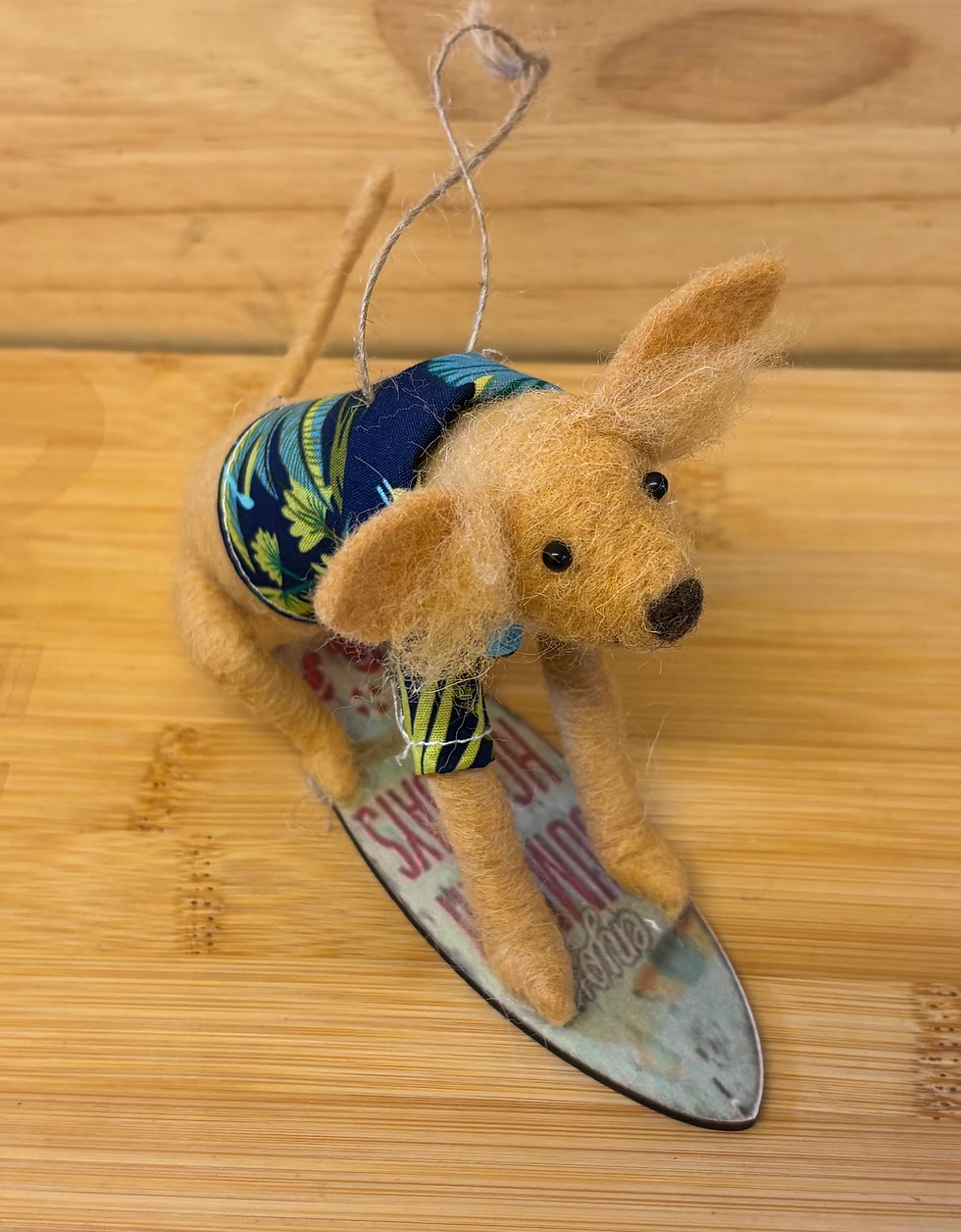 Thumbnail: Surfing Pupster