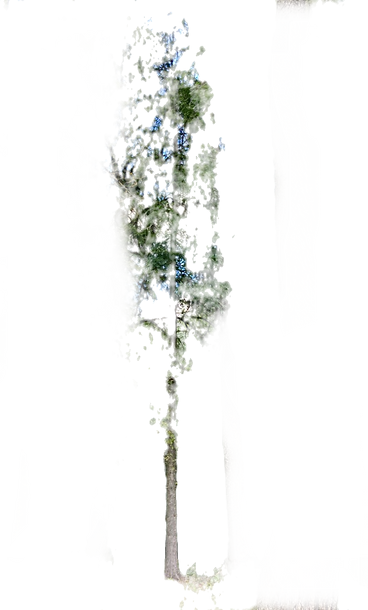 image (31)_edited.png