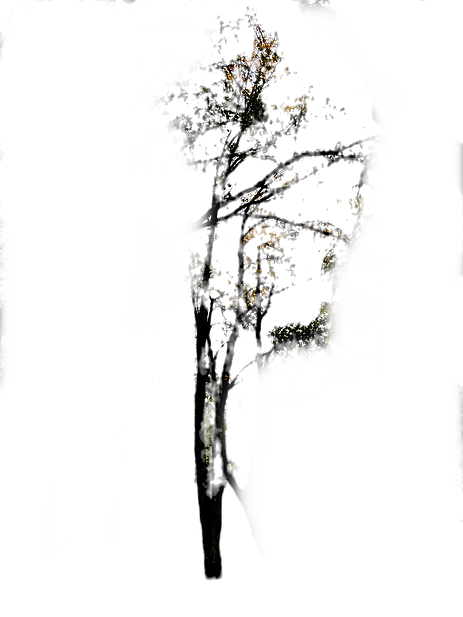80015m_edited_edited.png