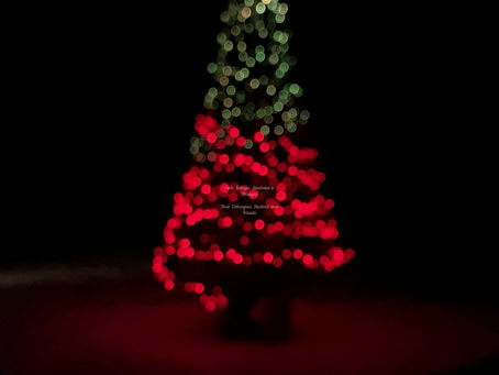 Su Šventėmis Mielieji! / Merry Christmas & New Year Everybody!