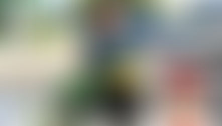 A Year of Change and Impact for the Tread Lightly Caravan