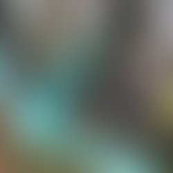 Bruno Weber Park: A Wonderland of Art, Nature, and Imagination