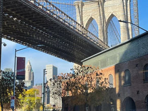 Butler Cafe in DUMBO, Brooklyn - Review