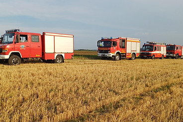 20250815_190517.jpg