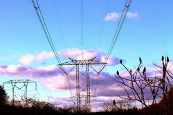 8powerlines