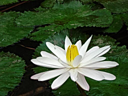DSC04140.JPG