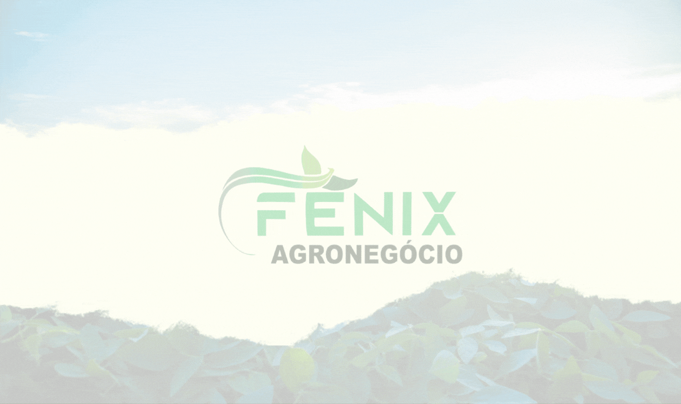 Fique por dentro de novidades e informações.gif