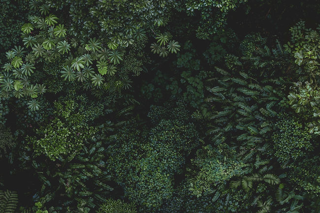 AEnB2Urdf6-kuAWmrq-bXW2lvGfX-6E-htWHTO0IfPpiwG0u7IcXjKy4UOh-ntbd1vs03x6saPszRGCwLF9vawVnUz