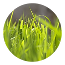 Artboard 1 copy 4.png