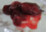 Cherry Pie.jpeg