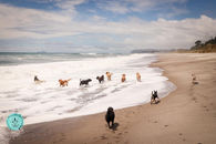adventure walk beach 3.jpg