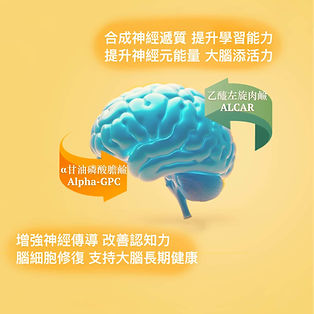 zh-03-AlphaGPC.jpg
