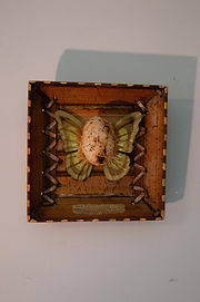 Hatch