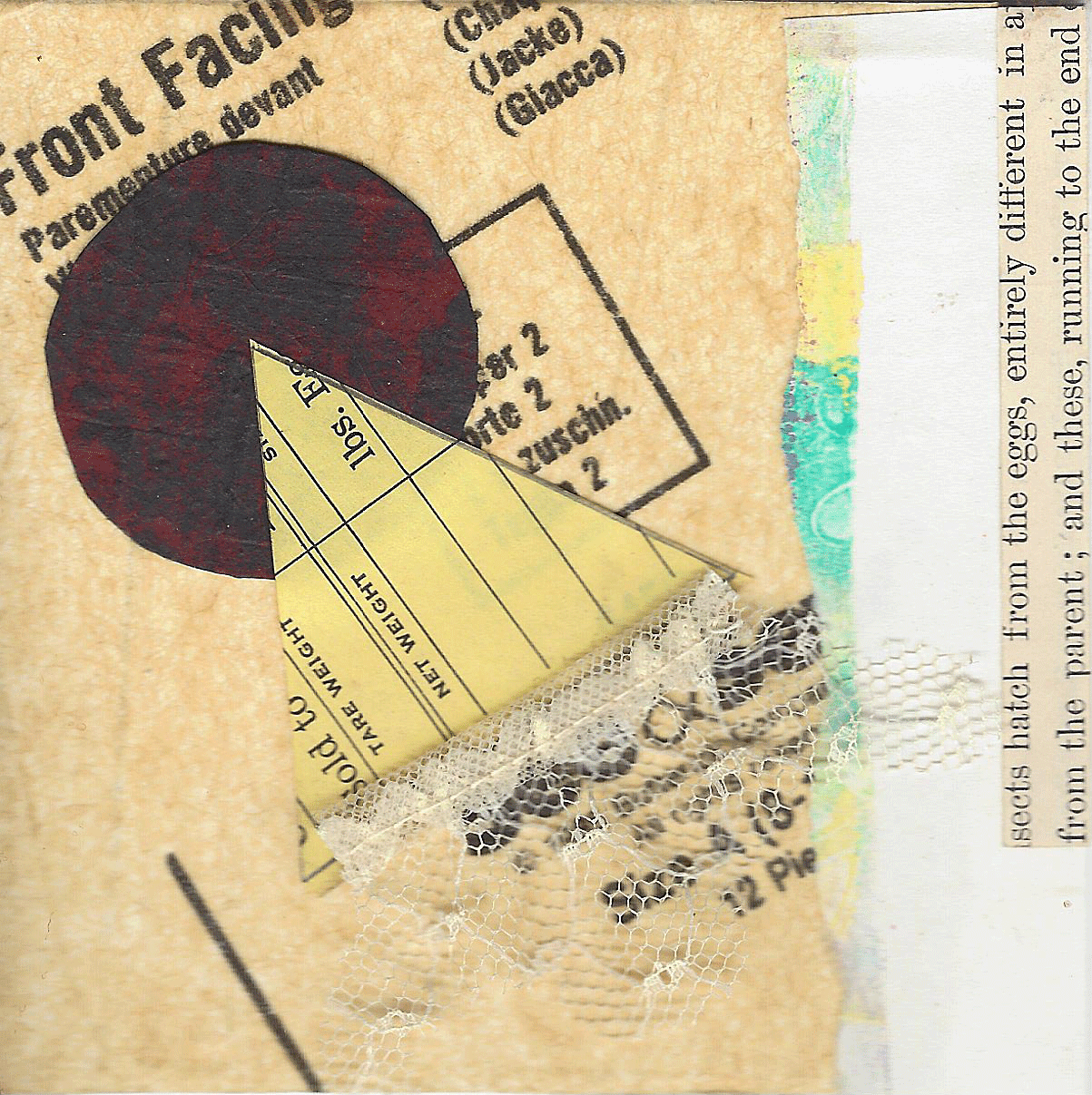 lesson-1-5-minute-collage-02.gif