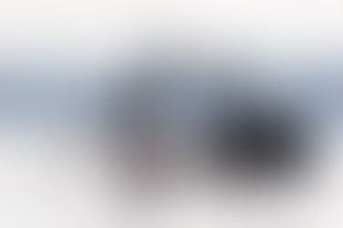 SOWIB Summer 2025 Newsletter