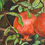 Thumbnail: Artwork for Living Room - A Pair of Pomegrenades at Day Time