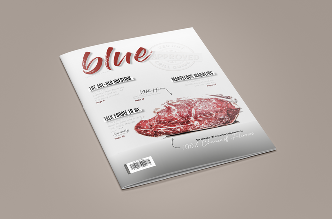 Blue Magazine Cover Design