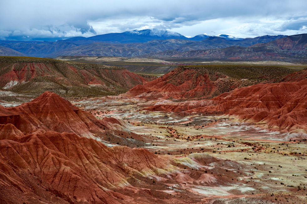 Andes_CusiCusi_ATC2473