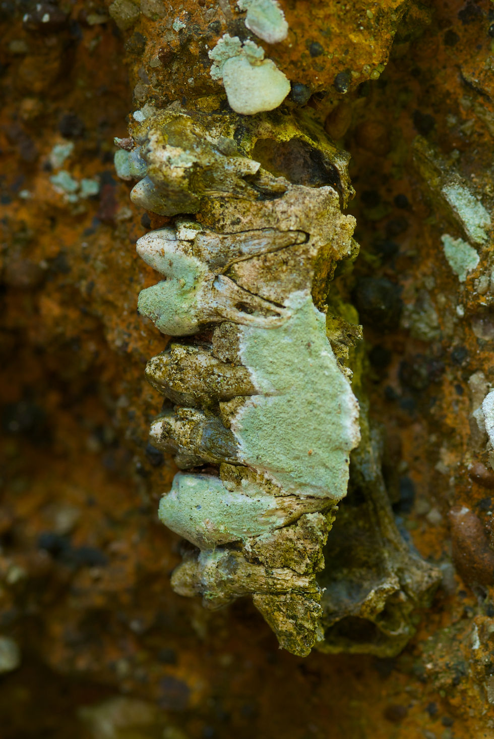 APA Carste de Lagoa Santa - MG