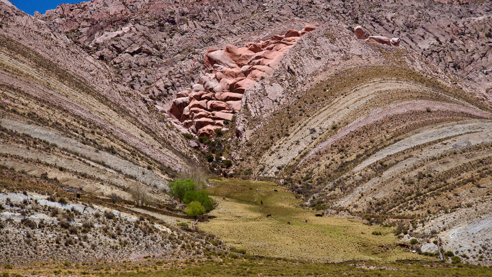 Andes_TresCruces_ATC0596