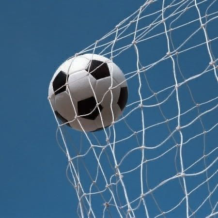football in net - goal