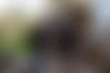 Afordable Services Removals loading one of the vehicles in Axminster Decom for a full house move