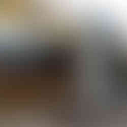 Afordable Services taking care of the contents of your home when doing a full clearance ready for sale.