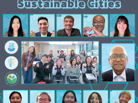 2025 IVECA Global Youth Mentorship Program: STEAM for Sustainability