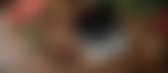 Uncovering the Complexities of Holiday Payroll Compliance in Remote Work Settings