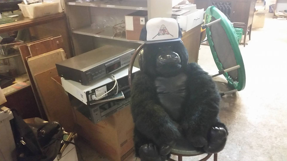 JGorillaElectTrampMisc